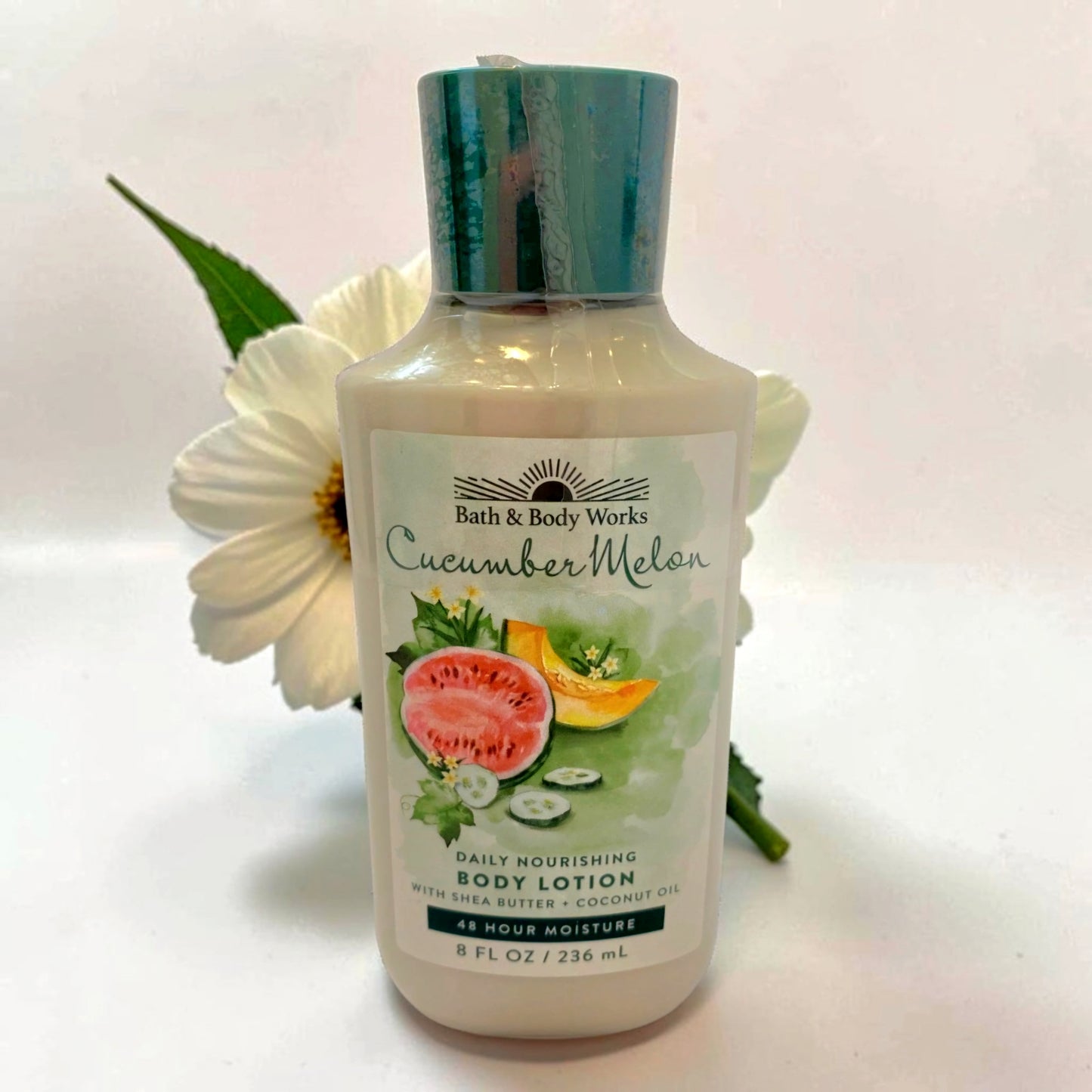 New Bath and Body Works Cucumber Melon Daily Nourishing Body Lotion 8 oz